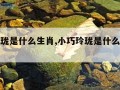 小巧玲珑是什么生肖,小巧玲珑是什么生肖正确答案