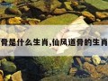 仙风道骨是什么生肖,仙风道骨的生肖是什么