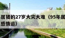 95年属猪的27岁大灾大难（95年属猪的27岁感情运）