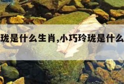 小巧玲珑是什么生肖,小巧玲珑是什么生肖正确答案