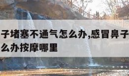 感冒鼻子堵塞不通气怎么办,感冒鼻子堵塞不通气怎么办按摩哪里