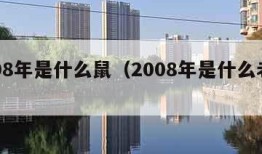 2008年是什么鼠（2008年是什么老鼠）