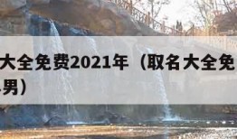 取名大全免费2021年（取名大全免费2021年男）