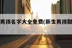 取姓名男孩名字大全免费(新生男孩取名大全免费)