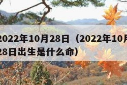 2022年10月28日（2022年10月28日出生是什么命）