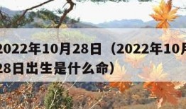 2022年10月28日（2022年10月28日出生是什么命）