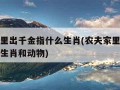 农夫家里出千金指什么生肖(农夫家里出千金指什么生肖和动物)