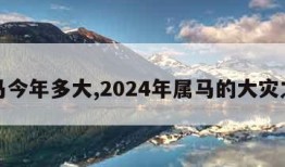 属马今年多大,2024年属马的大灾之年